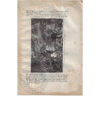 Col-0000-164-o.pdf