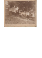 PHX-0607-wo.pdf